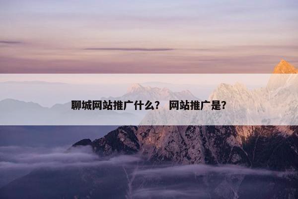 聊城网站推广什么？ 网站推广是？-第1张图片-冷动云
