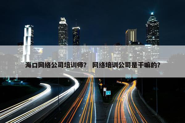 海口网络公司培训师？ 网络培训公司是干嘛的？-第1张图片-冷动云