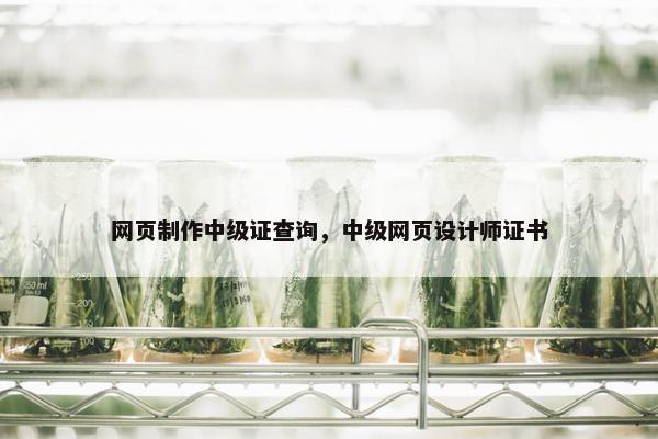 网页制作中级证查询，中级网页设计师证书-第1张图片-冷动云