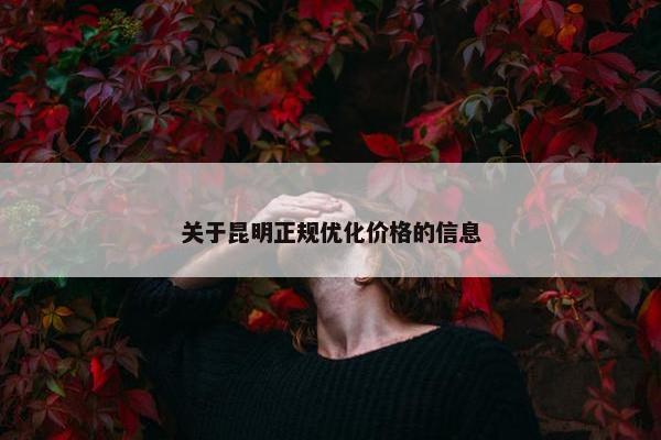 关于昆明正规优化价格的信息-第1张图片-冷动云
