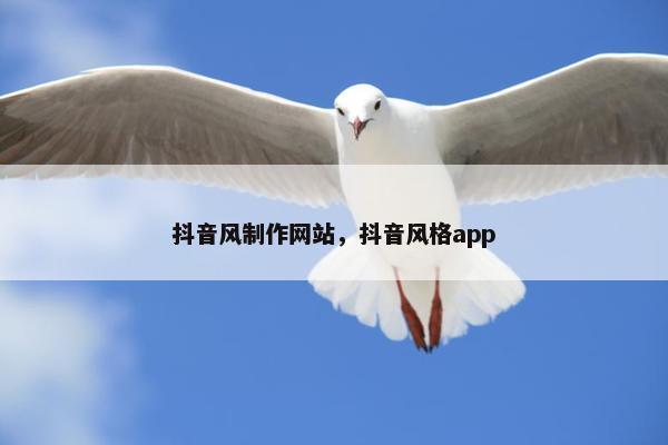抖音风制作网站，抖音风格app-第1张图片-冷动云