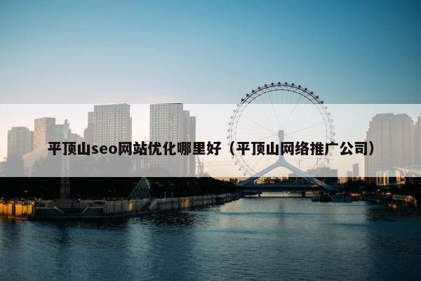 平顶山seo网站优化哪里好（平顶山网络推广公司）-第1张图片-冷动云