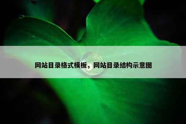 网站目录格式模板，网站目录结构示意图-第1张图片-冷动云