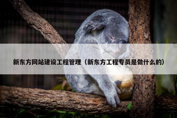 新东方网站建设工程管理（新东方工程专员是做什么的）-第1张图片-冷动云