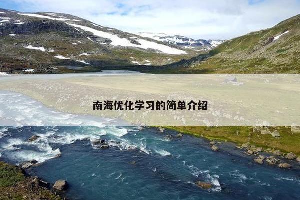 南海优化学习的简单介绍-第1张图片-冷动云
