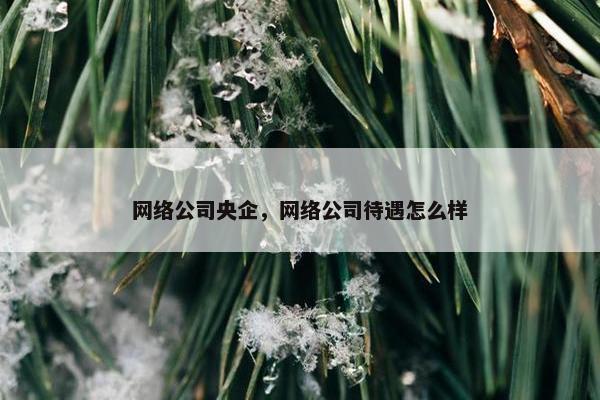 网络公司央企，网络公司待遇怎么样-第1张图片-冷动云
