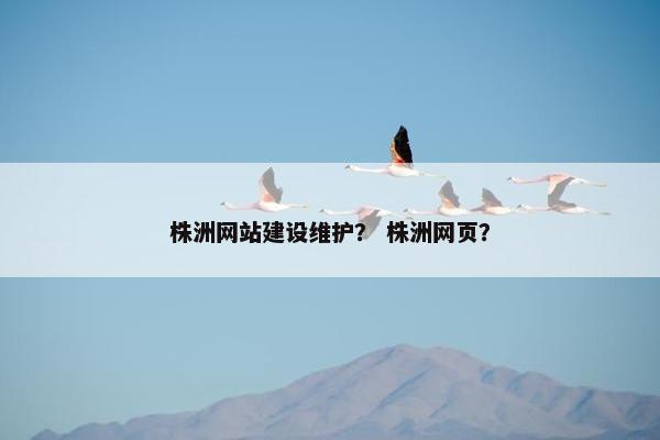 株洲网站建设维护？ 株洲网页？-第1张图片-冷动云