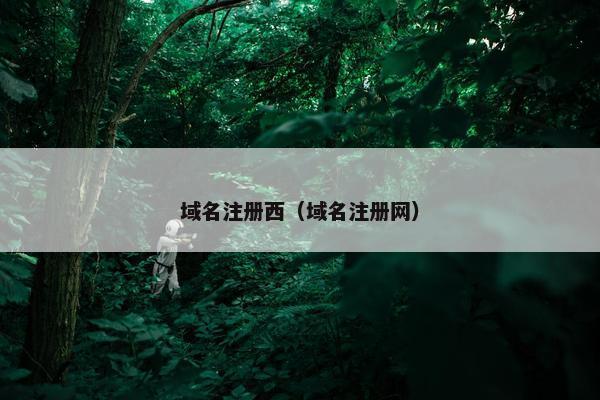 域名注册西（域名注册网）-第1张图片-冷动云