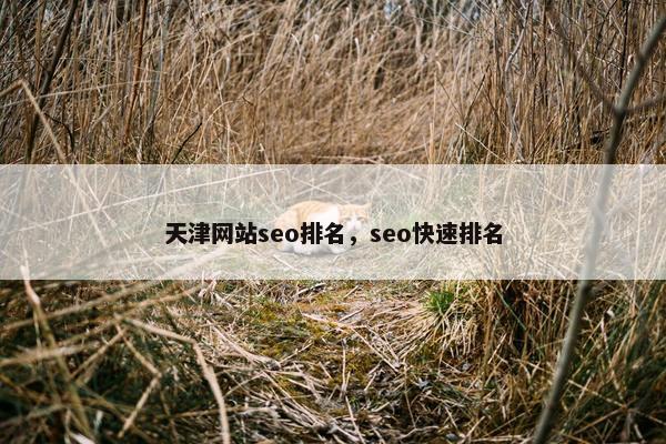天津网站seo排名，seo快速排名-第1张图片-冷动云