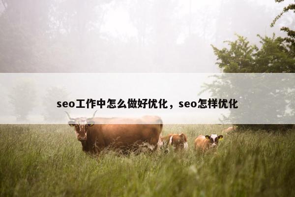 seo工作中怎么做好优化，seo怎样优化-第1张图片-冷动云