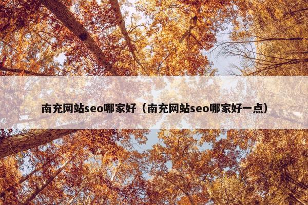 南充网站seo哪家好（南充网站seo哪家好一点）-第1张图片-冷动云
