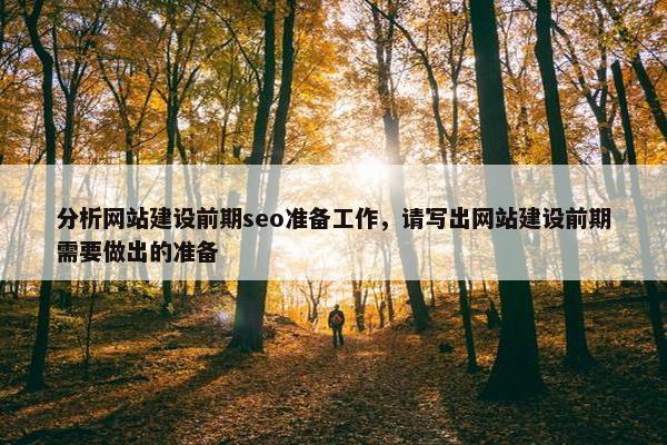 分析网站建设前期seo准备工作，请写出网站建设前期需要做出的准备-第1张图片-冷动云