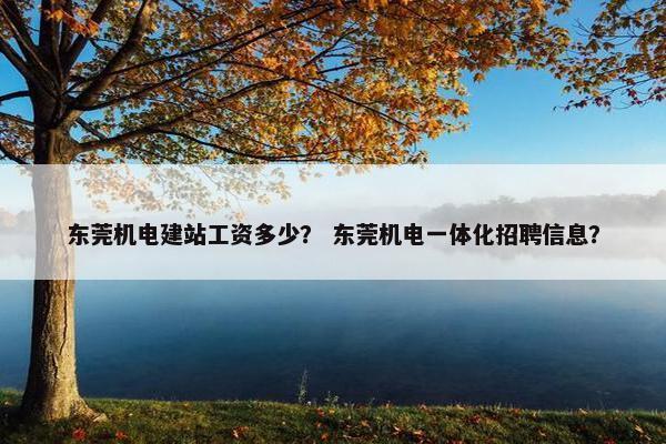 东莞机电建站工资多少？ 东莞机电一体化招聘信息？-第1张图片-冷动云