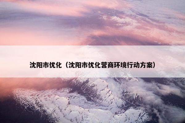 沈阳市优化（沈阳市优化营商环境行动方案）-第1张图片-冷动云