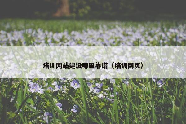 培训网站建设哪里靠谱（培训网页）-第1张图片-冷动云