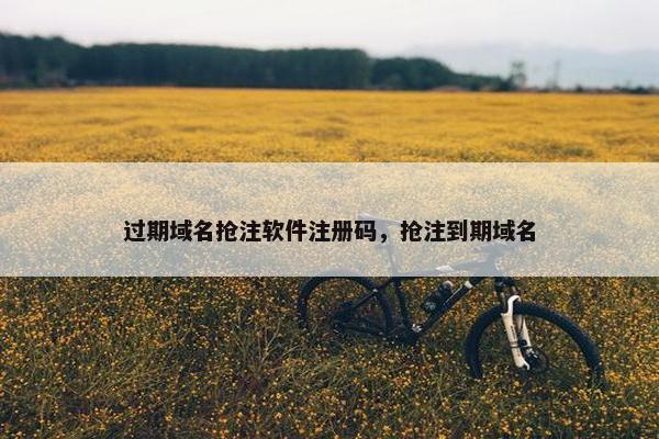 过期域名抢注软件注册码，抢注到期域名-第1张图片-冷动云