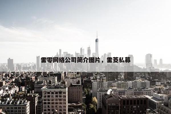 雷零网络公司简介图片，雷菱私募-第1张图片-冷动云