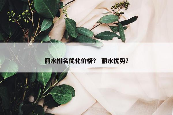 丽水排名优化价格？ 丽水优势？-第1张图片-冷动云