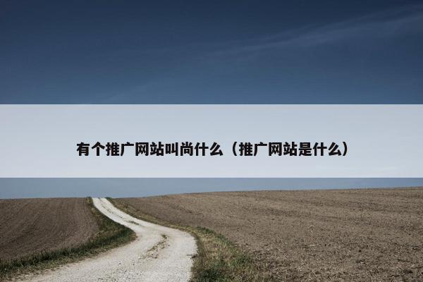有个推广网站叫尚什么（推广网站是什么）-第1张图片-冷动云