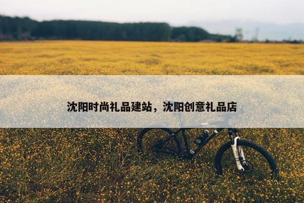 沈阳时尚礼品建站，沈阳创意礼品店-第1张图片-冷动云