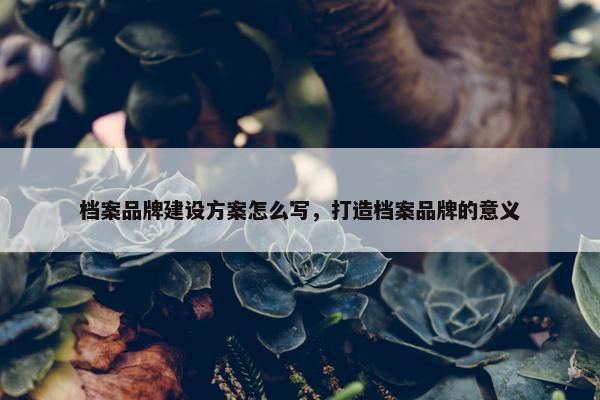 档案品牌建设方案怎么写，打造档案品牌的意义-第1张图片-冷动云