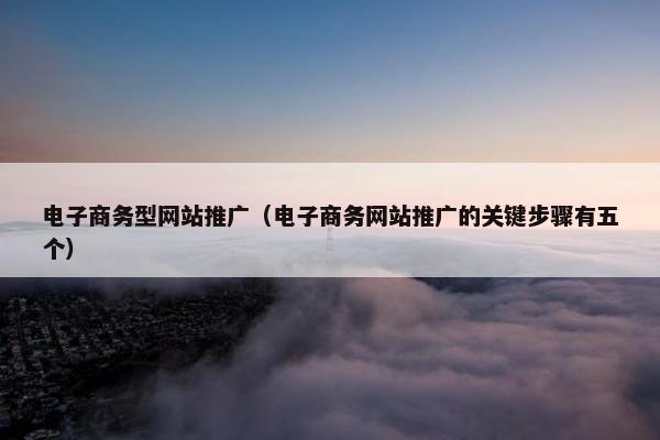 电子商务型网站推广（电子商务网站推广的关键步骤有五个）-第1张图片-冷动云
