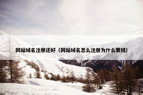 网站域名注册还好（网站域名怎么注册为什么要钱）-第1张图片-冷动云