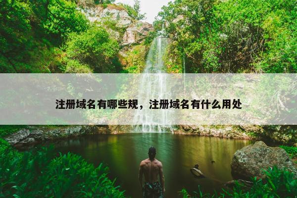 注册域名有哪些规，注册域名有什么用处-第1张图片-冷动云