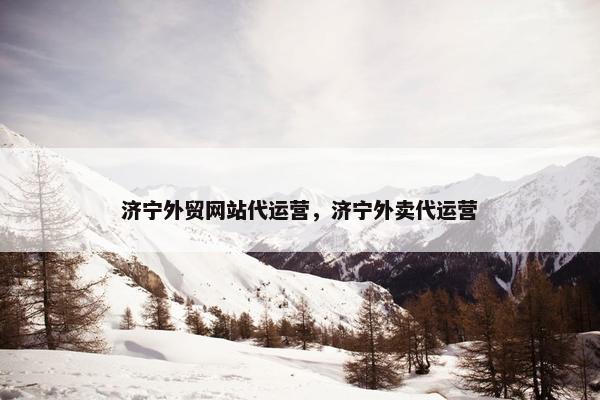 济宁外贸网站代运营，济宁外卖代运营-第1张图片-冷动云
