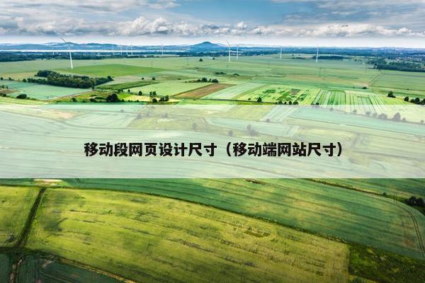 移动段网页设计尺寸（移动端网站尺寸）-第1张图片-冷动云