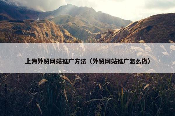 上海外贸网站推广方法（外贸网站推广怎么做）-第1张图片-冷动云