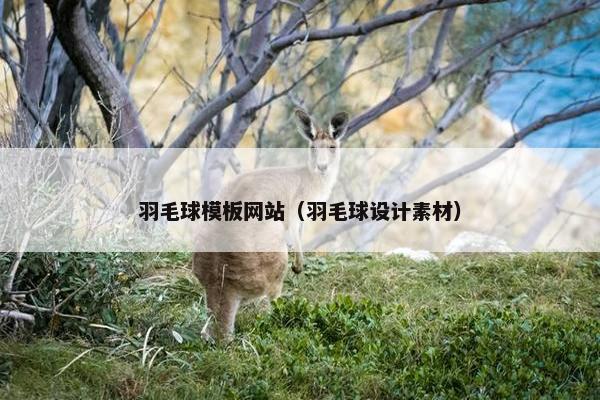 羽毛球模板网站（羽毛球设计素材）-第1张图片-冷动云