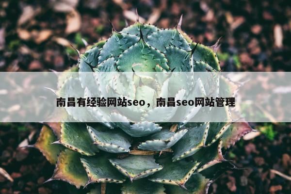 南昌有经验网站seo，南昌seo网站管理-第1张图片-冷动云