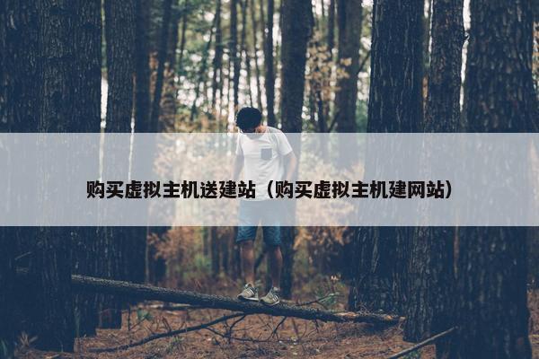 购买虚拟主机送建站（购买虚拟主机建网站）-第1张图片-冷动云