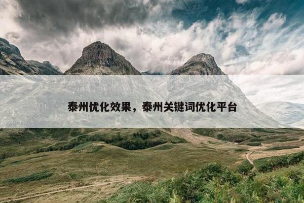 泰州优化效果，泰州关键词优化平台-第1张图片-冷动云