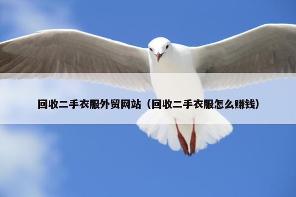 回收二手衣服外贸网站（回收二手衣服怎么赚钱）-第1张图片-冷动云