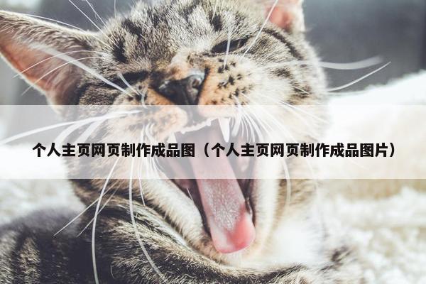 个人主页网页制作成品图（个人主页网页制作成品图片）-第1张图片-冷动云
