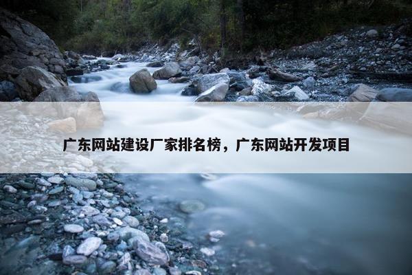 广东网站建设厂家排名榜，广东网站开发项目-第1张图片-冷动云