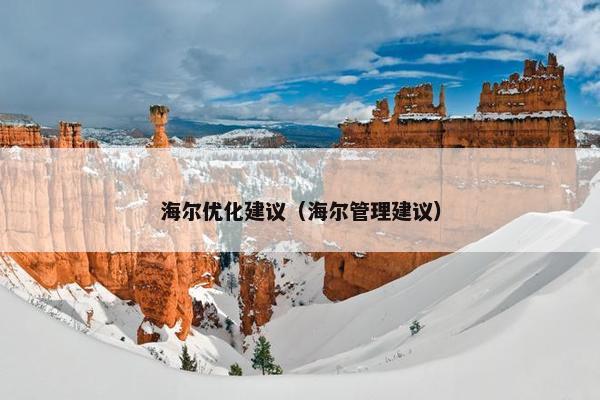 海尔优化建议（海尔管理建议）-第1张图片-冷动云