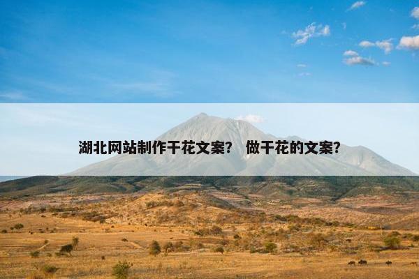 湖北网站制作干花文案？ 做干花的文案？-第1张图片-冷动云