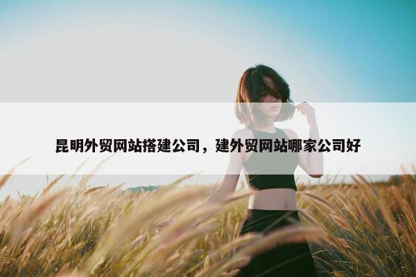 昆明外贸网站搭建公司，建外贸网站哪家公司好-第1张图片-冷动云