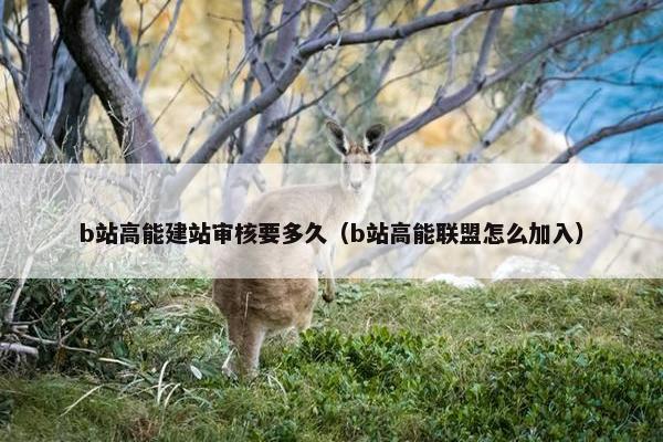 b站高能建站审核要多久（b站高能联盟怎么加入）-第1张图片-冷动云