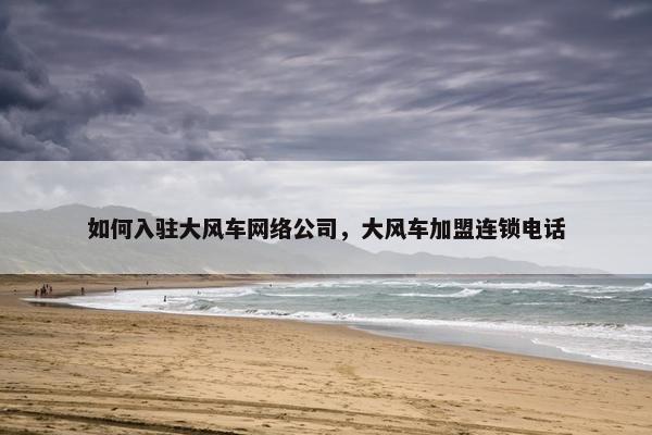 如何入驻大风车网络公司，大风车加盟连锁电话-第1张图片-冷动云
