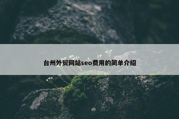台州外贸网站seo费用的简单介绍-第1张图片-冷动云