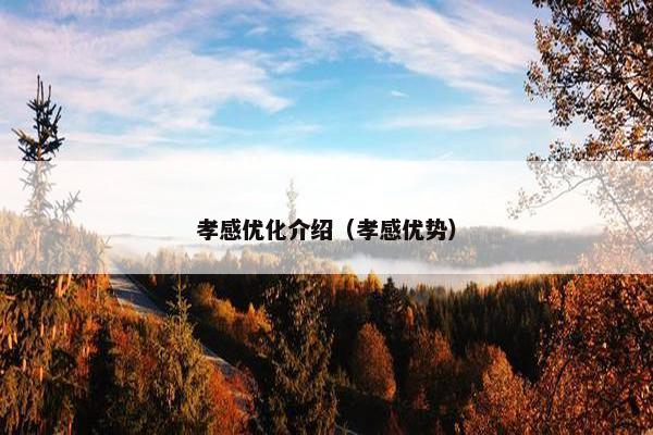 孝感优化介绍（孝感优势）-第1张图片-冷动云