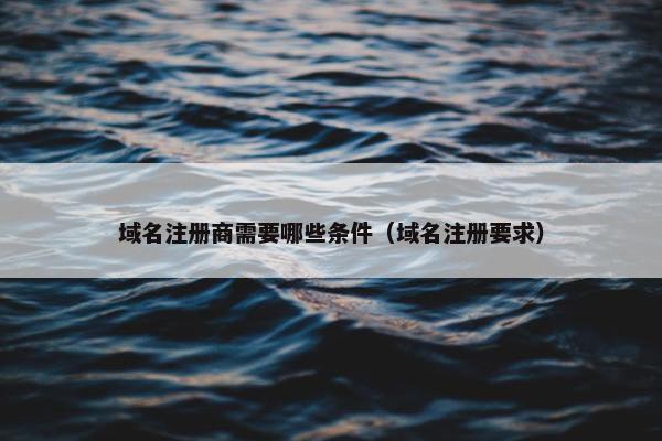 域名注册商需要哪些条件（域名注册要求）-第1张图片-冷动云