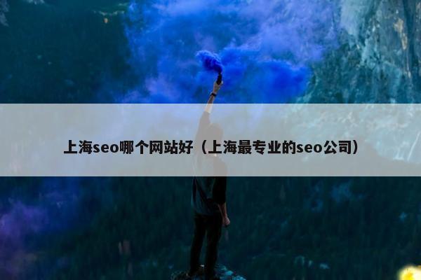 上海seo哪个网站好（上海最专业的seo公司）-第1张图片-冷动云