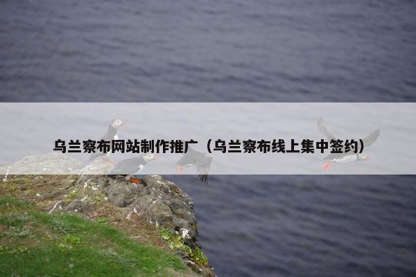 乌兰察布网站制作推广（乌兰察布线上集中签约）-第1张图片-冷动云