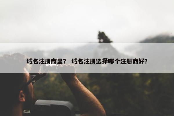 域名注册商里？ 域名注册选择哪个注册商好？-第1张图片-冷动云