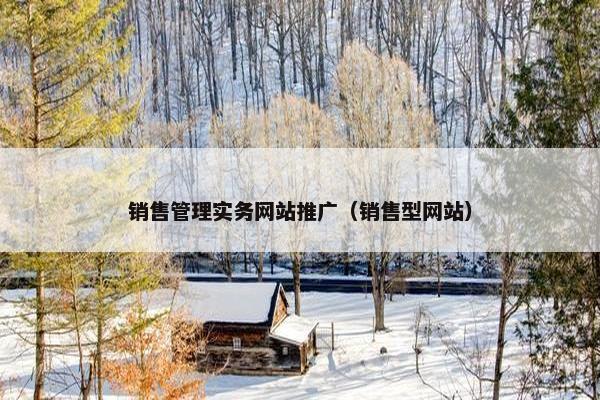 销售管理实务网站推广（销售型网站）-第1张图片-冷动云